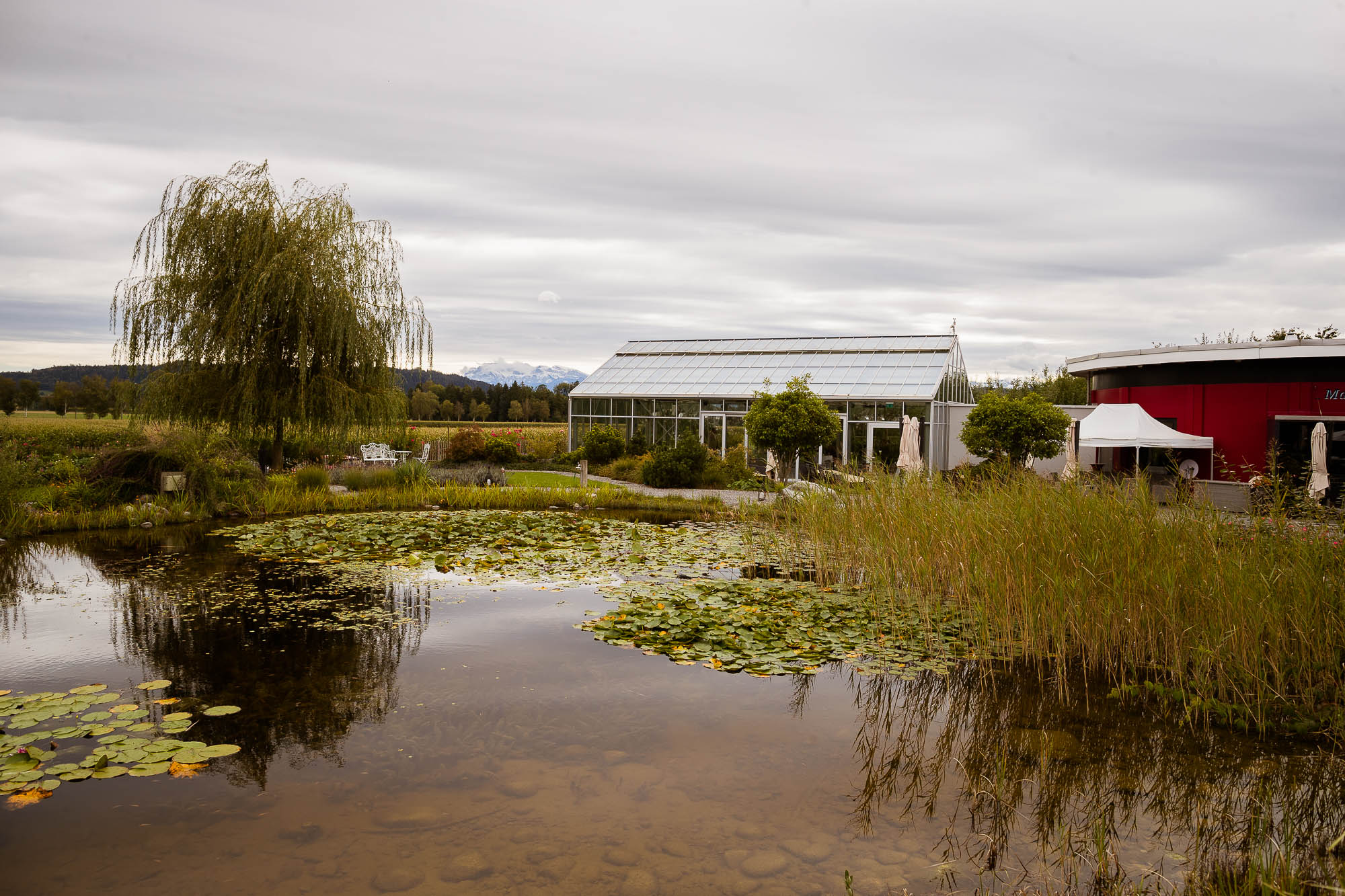 Export x3 1DX27993 Hochzeit 2020 Claudia & Thomas